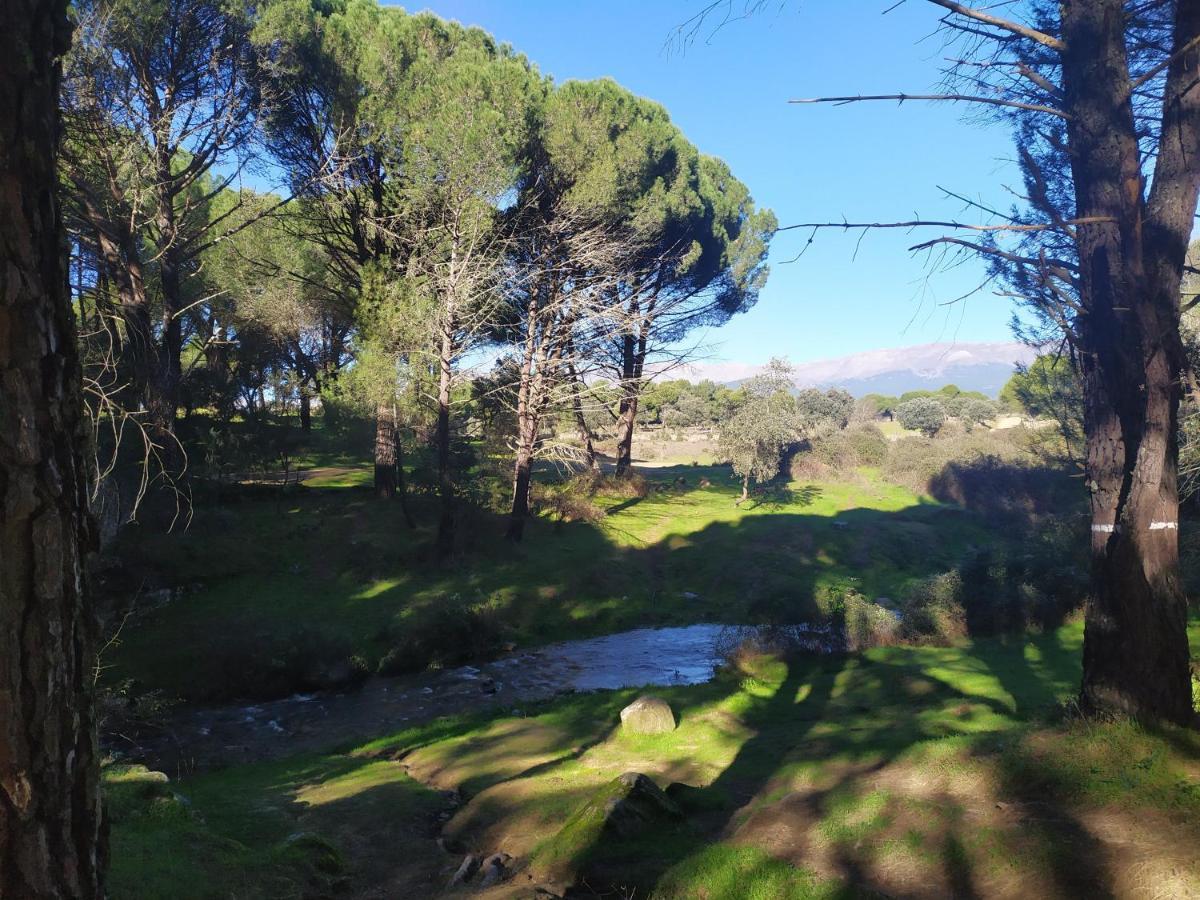Villa La Encina Del Abuelo La Adrada Exterior foto